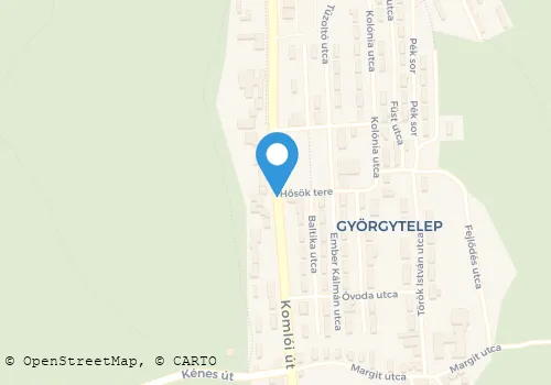 Térkép