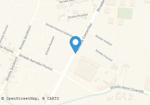 Hartă
