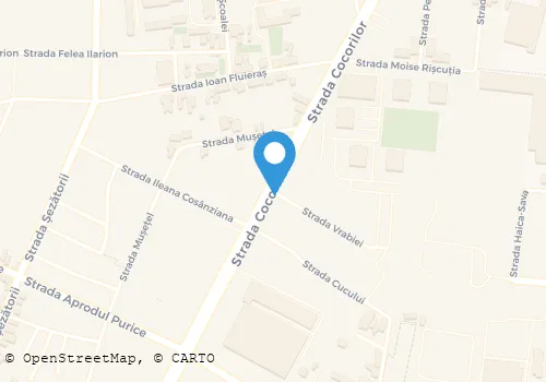 Hartă