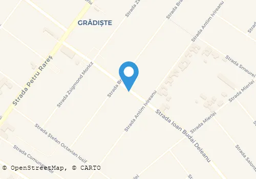 Hartă