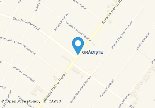 Hartă