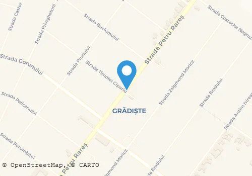 Hartă