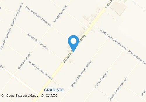 Hartă