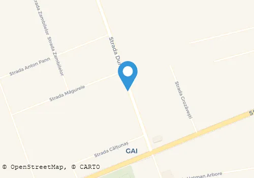 Hartă