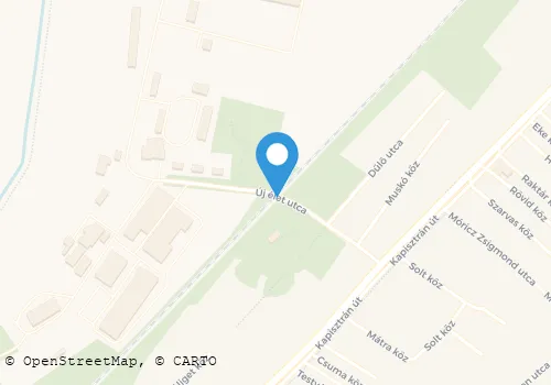 Térkép