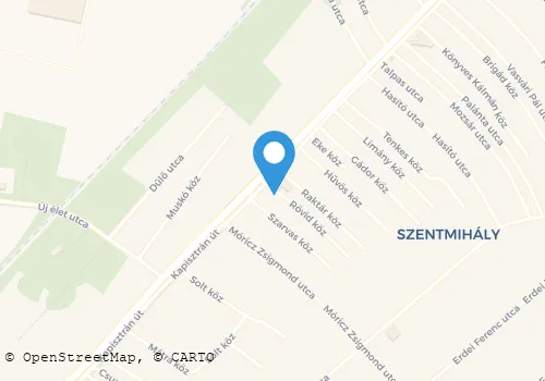 Térkép
