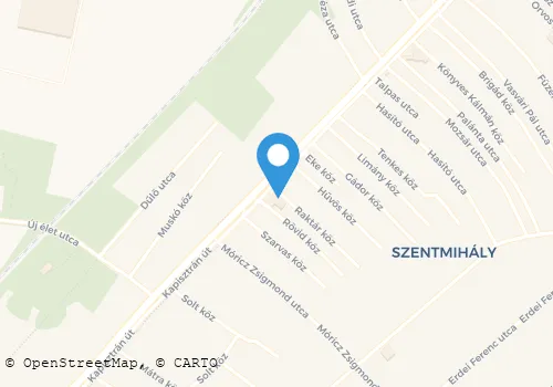 Térkép