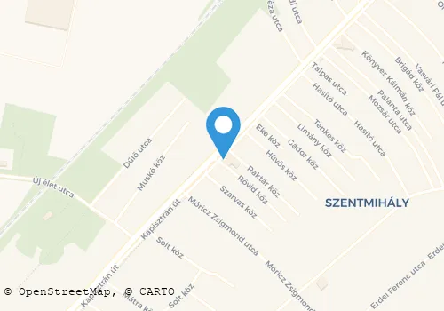Térkép