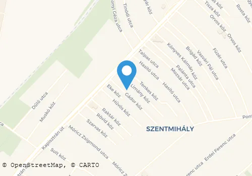 Térkép