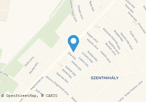 Térkép