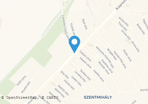 Térkép