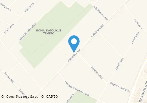 Térkép