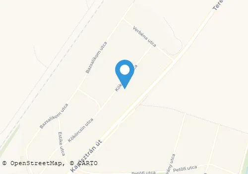 Térkép
