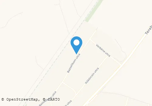 Térkép