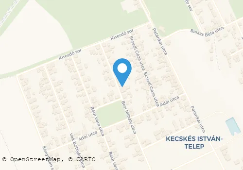 Térkép