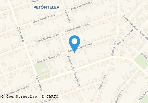 Térkép