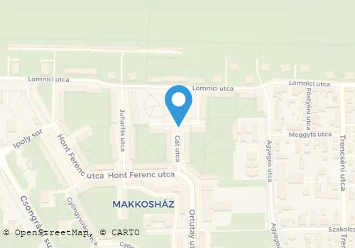 Térkép