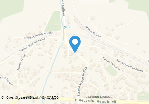 Hartă