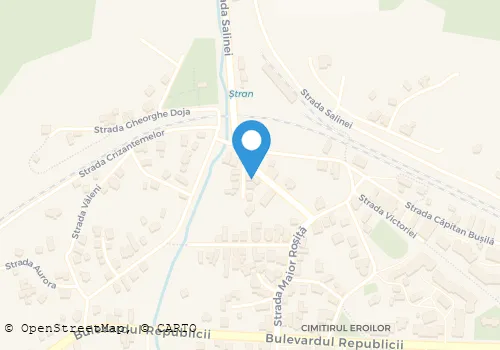 Hartă