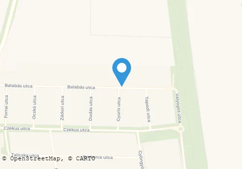 Térkép
