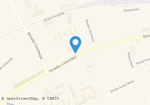Hartă