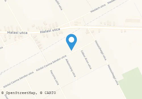 Térkép