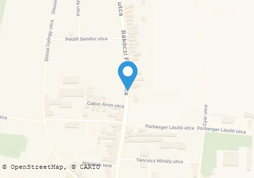 Térkép