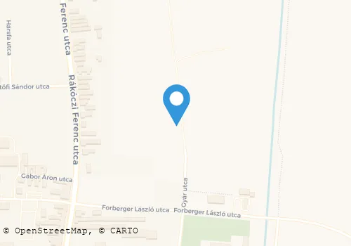 Térkép