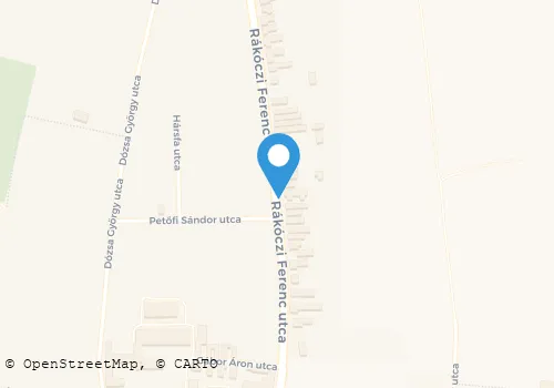 Térkép