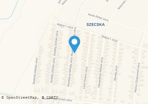 Térkép