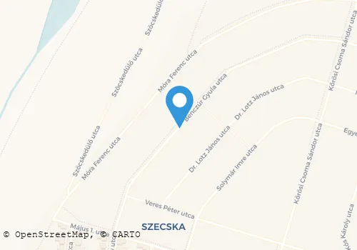 Térkép