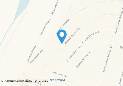 Térkép