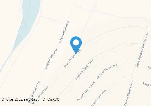 Térkép