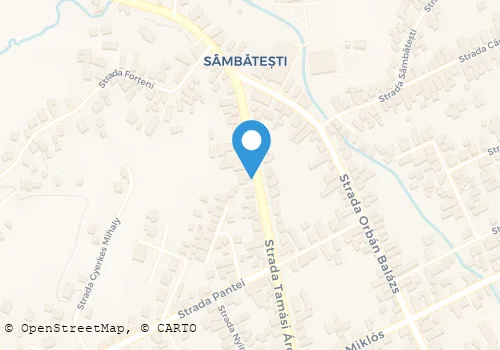Hartă
