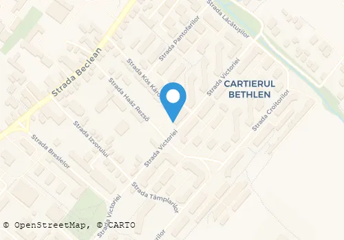 Hartă