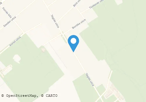 Térkép