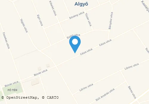 Térkép