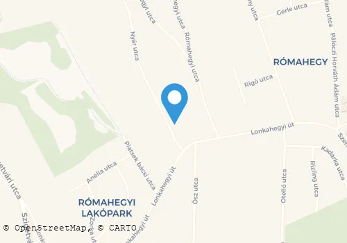 Térkép