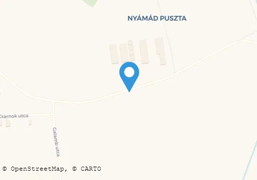 Térkép