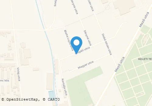 Térkép