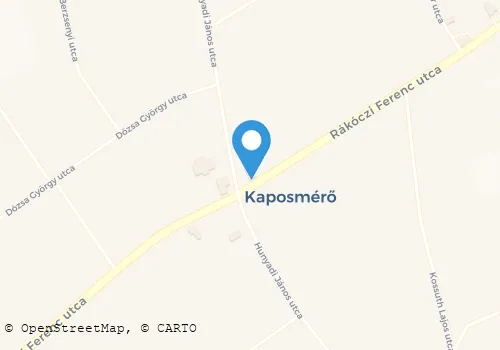 Térkép