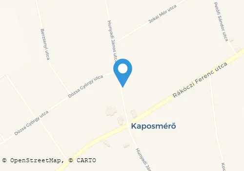 Térkép