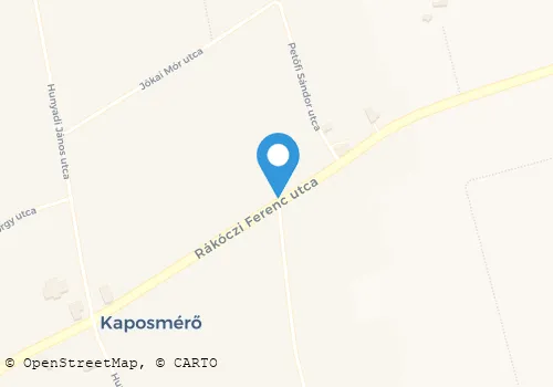 Térkép