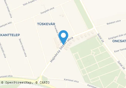 Térkép