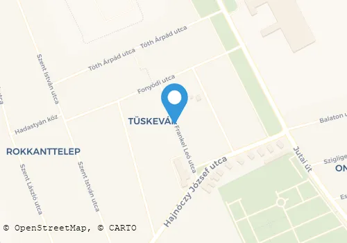Térkép