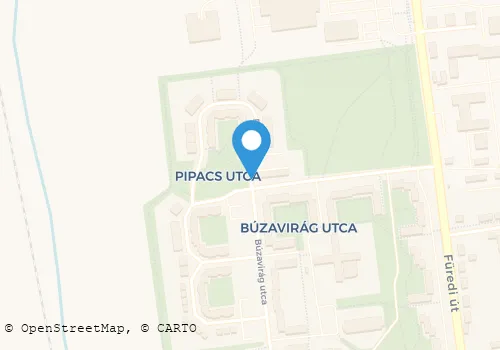 Térkép