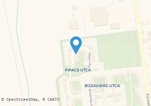 Térkép