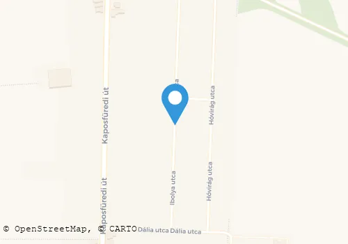 Térkép