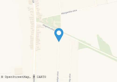 Térkép