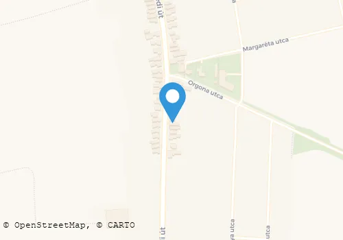 Térkép